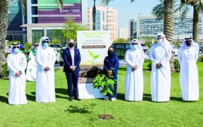 Setengah Juta Pohon Sudah ditanam Sebelum Piala Dunia 2022 Dimulai